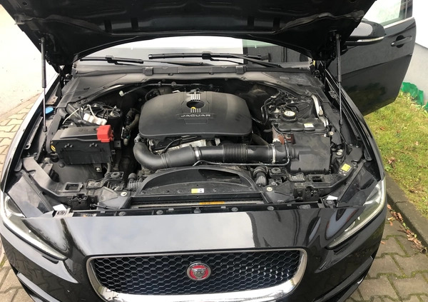 Jaguar XE cena 73000 przebieg: 126899, rok produkcji 2016 z Sosnowiec małe 191